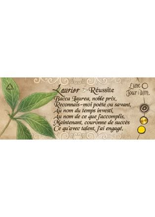 Oracle - Le petit oracle grimoire de Magie