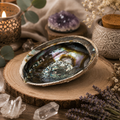 Coquille d'Ormeau (Abalone) – Support naturel pour la fumigation - ALEATOIRE